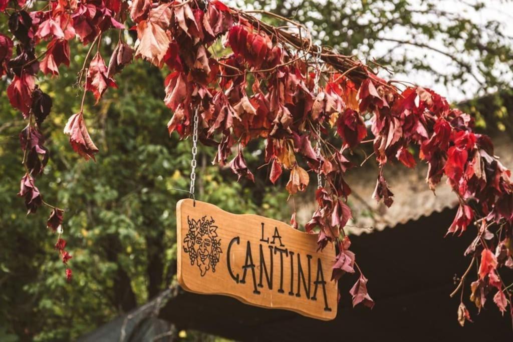 Appartamento Casa Del Castorino Abbadia San Salvator Esterno foto