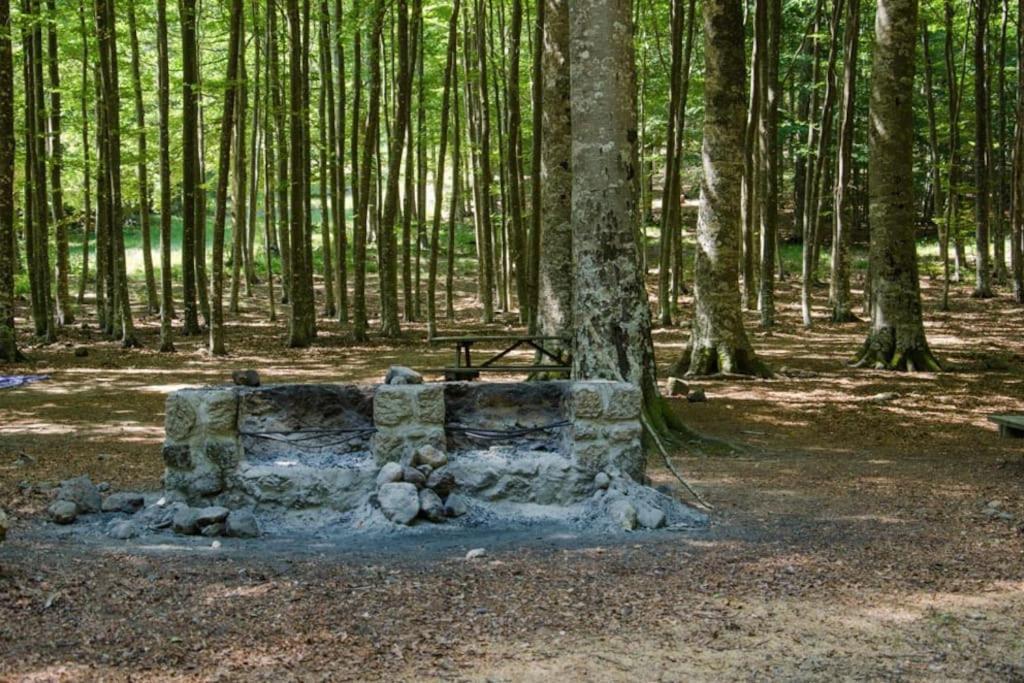 Appartamento Casa Del Castorino Abbadia San Salvator Esterno foto